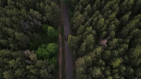 Car is driving on the road through the forest Stock Footage 154851255
