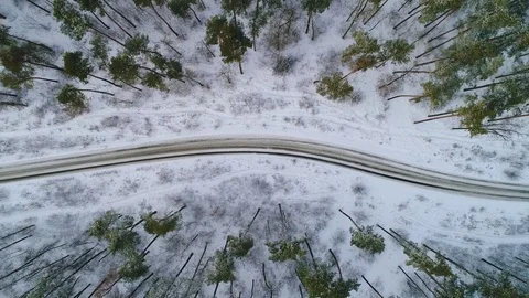 Car driving on the road in the winter forest Stock Footage 84886831