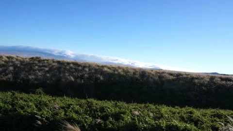 A car driving at speed along a freeway on Hawaii Island with Mauna Kea and Stock Footage 145844543