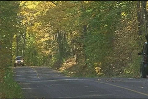 Car driving through autumn foliage Stock Footage