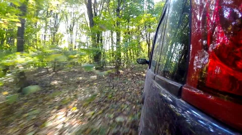 Car driving through the countryside in deep forest. Stock Footage 44773980