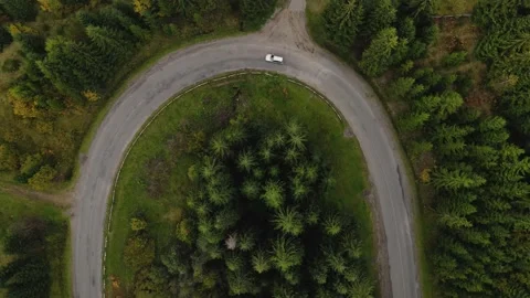 Car driving through the curvy Mountain road with pine trees Stock Footage 144551279