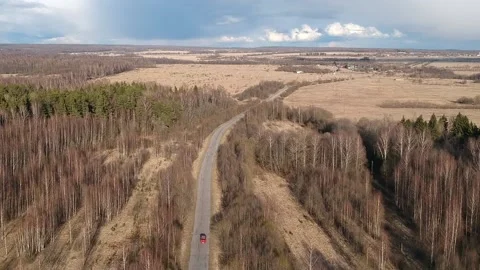 The car is driving through a dead forest in the savannah in Africa. Shooting Stock Footage 206852367