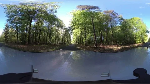 Car driving through Deciduous forest, VR360, VR Stock Footage