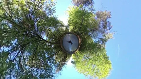 Car driving through Deciduous forest, VR360, VR, Tiny planet, Tiny planet effect Stock Footage 107380153