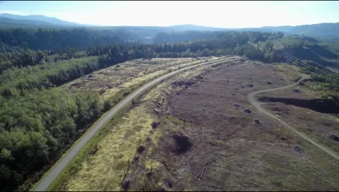 Car driving through empty road in mountain hills on a sunny day Stock-Footage 42951357