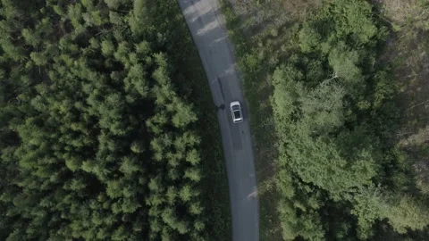 Car driving through forest 1 Video stock 168689737