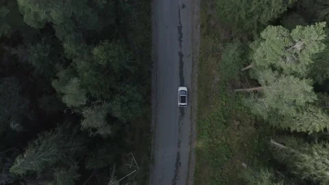 Car driving through a forest 2 Stock Footage 168689803