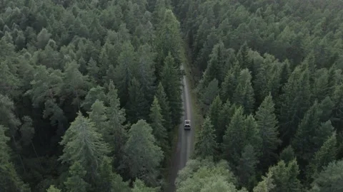 Car driving through a forest 3 Video stock 168689637