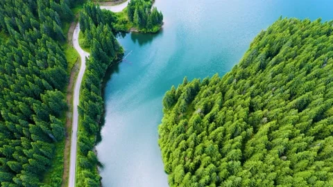 Car driving through the forest and the lake on the side. Beautiful mountain road Stock Footage 150589838
