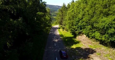 Car driving through forest during sunny day Stock Footage 151322783