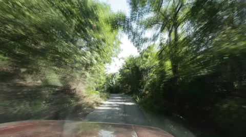 Car Driving through forest Stock Footage 35907187