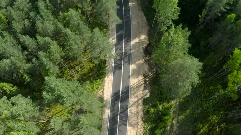 Car driving through the forest Vídeos de archivo 62109825
