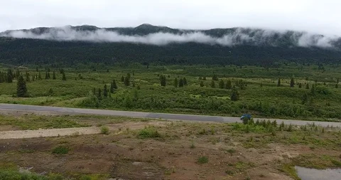 Car driving through forest Stock Footage 86196079