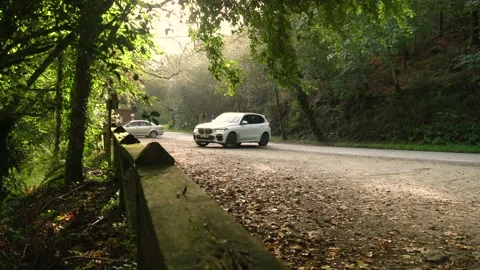 Car driving through the forest 库存影片 168759050
