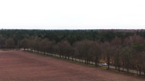 Car driving through the forest Stock Footage 240388465