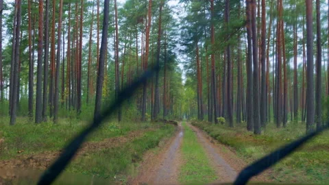 Car driving through forest in light rain, windshield wipers clearing drops Stock Footage 306876634