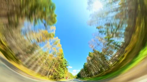 Car Driving Through Forest with Motion Blur Fish Eye Effect. Video stock 288577489
