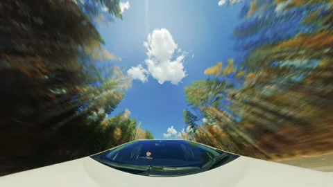 Car Driving Through Forest with Motion Blur Fish Eye Effect. Video stock 295246187