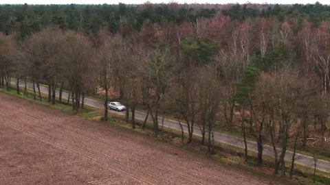 Car driving through the forest  near a meadow Stock Footage 240388481