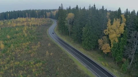 Car driving through the forest road. Aerial shot Stock Footage