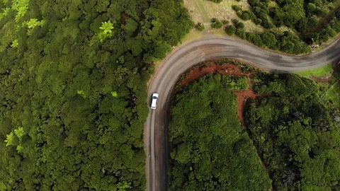 Car driving through forest road, in New Zealand  Vídeo Stock 95497370