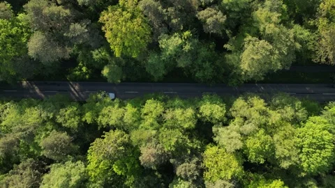 Car driving through forest road, aerial top‑down view Stock Footage 334679308