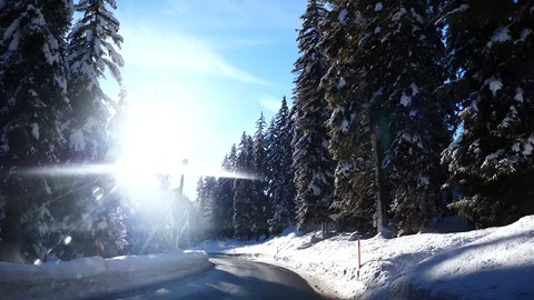 Car driving through a forest in winter Stock Footage 129722599