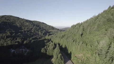 Car Driving Through Forested Mountain Road at Golden Sunset Stock Footage 315618762