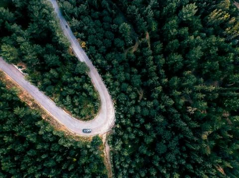 Car driving through the forrest drone Stock Photos