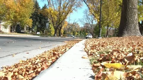 Car Driving Through Leaves 스톡 동영상 12575656