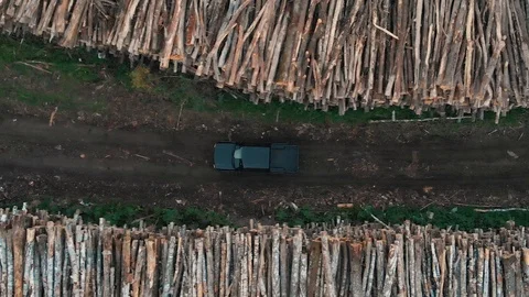 Car Driving Through Logging Site 動画素材 95528725