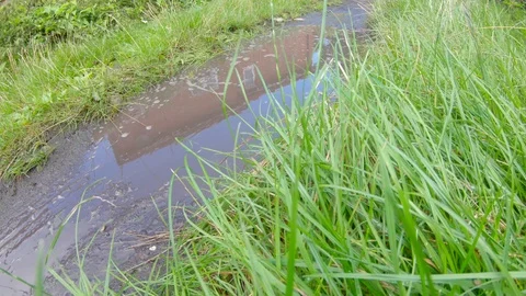 Car driving through a muddy puddle Video stock 113916416