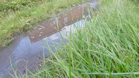 Car driving through a muddy puddle 動画素材 113916444