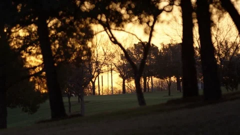 Car Driving Through a Park at Dusk Stock Footage 73900844