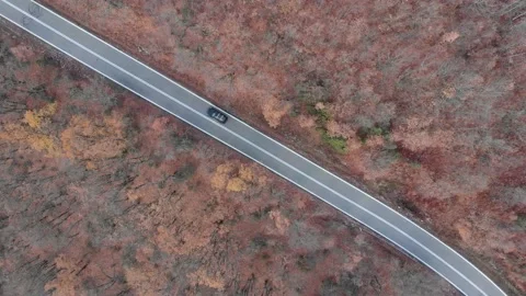 Car driving through a small road during fall, autumn, top view 库存影片 196613001