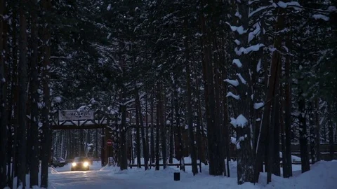 Car is driving through the snowy forest Stock Footage 81388955
