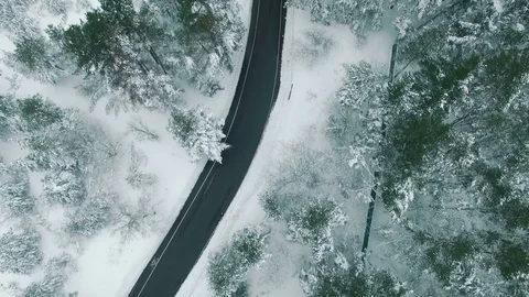Car driving through snowy pine forest in winter aerial drone footage Stock Footage 83685137