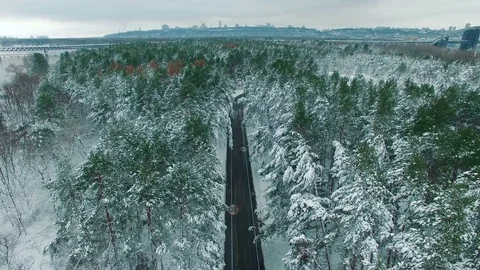 Car driving through snowy pine forest in winter aerial drone footage Stock Footage 83687747