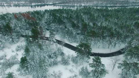 Car driving through snowy pine forest in winter aerial drone footage Stock Footage 83690078