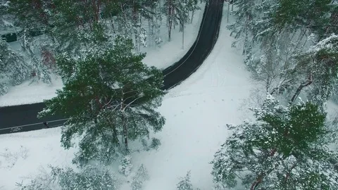 Car driving through snowy pine forest in winter aerial drone footage Stock Footage 83691474