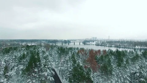 Car driving through snowy pine forest in winter aerial drone footage Stock Footage 83693176