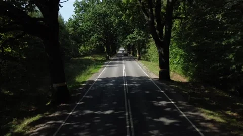 A car driving through the trees Stock Footage 256587523
