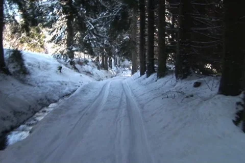 Car driving through winter forest 스톡 동영상 280142