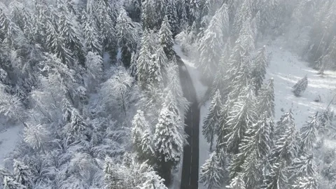 Car driving through winter forest with snow covered coniferous trees, drone Vídeos de archivo 144874642
