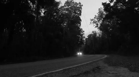 Car driving through woods at dusk Video stock 45227490