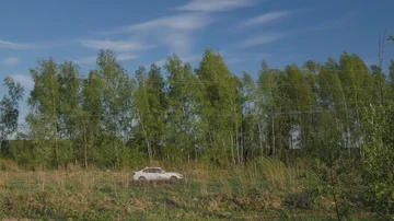 A car driving through the woods Stock Footage 85703373
