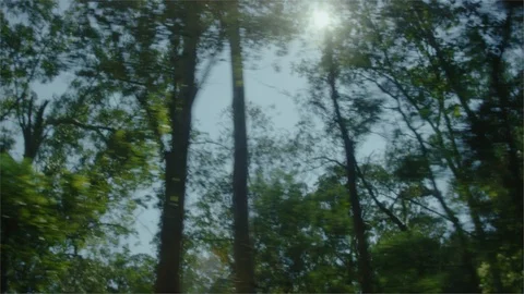 Car driving through the woods Stock Footage 107403326