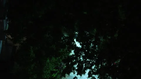 A car is driving through the yard at night, headlights on Stock Footage 337970225