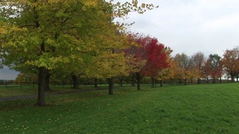 A car driving by trees in the Fall Stock Footage 72572128